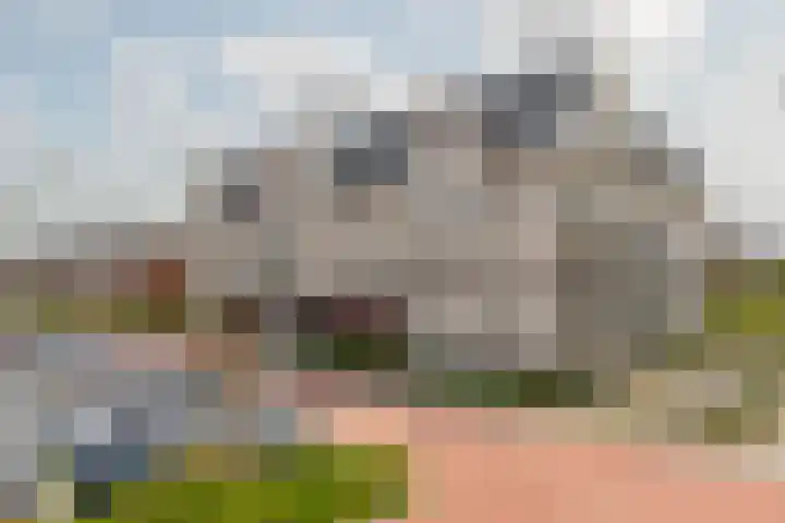 Linderhof 11 Zevenhuizen thumbnail 36