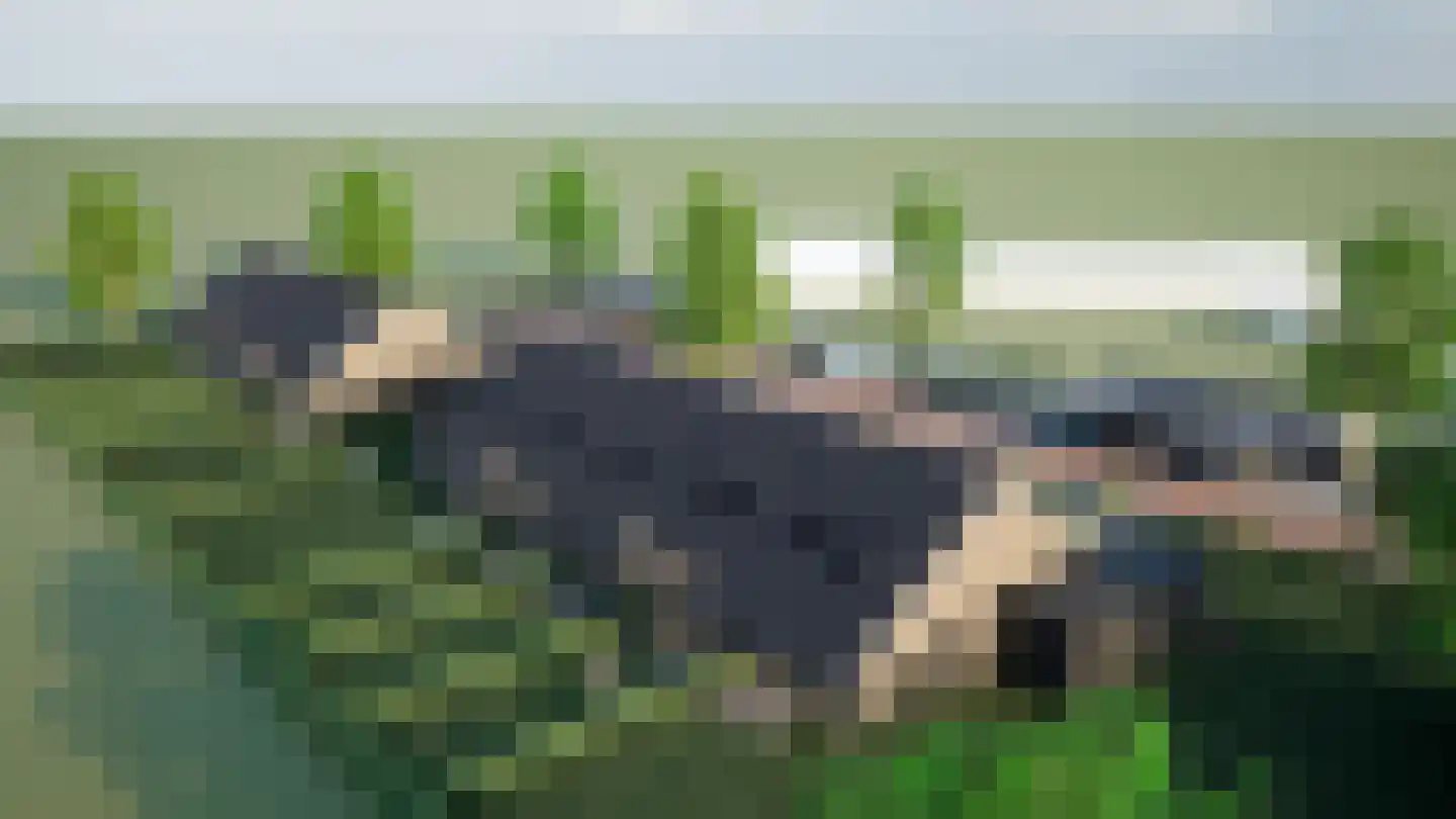 Linderweg 1 Linde thumbnail 5