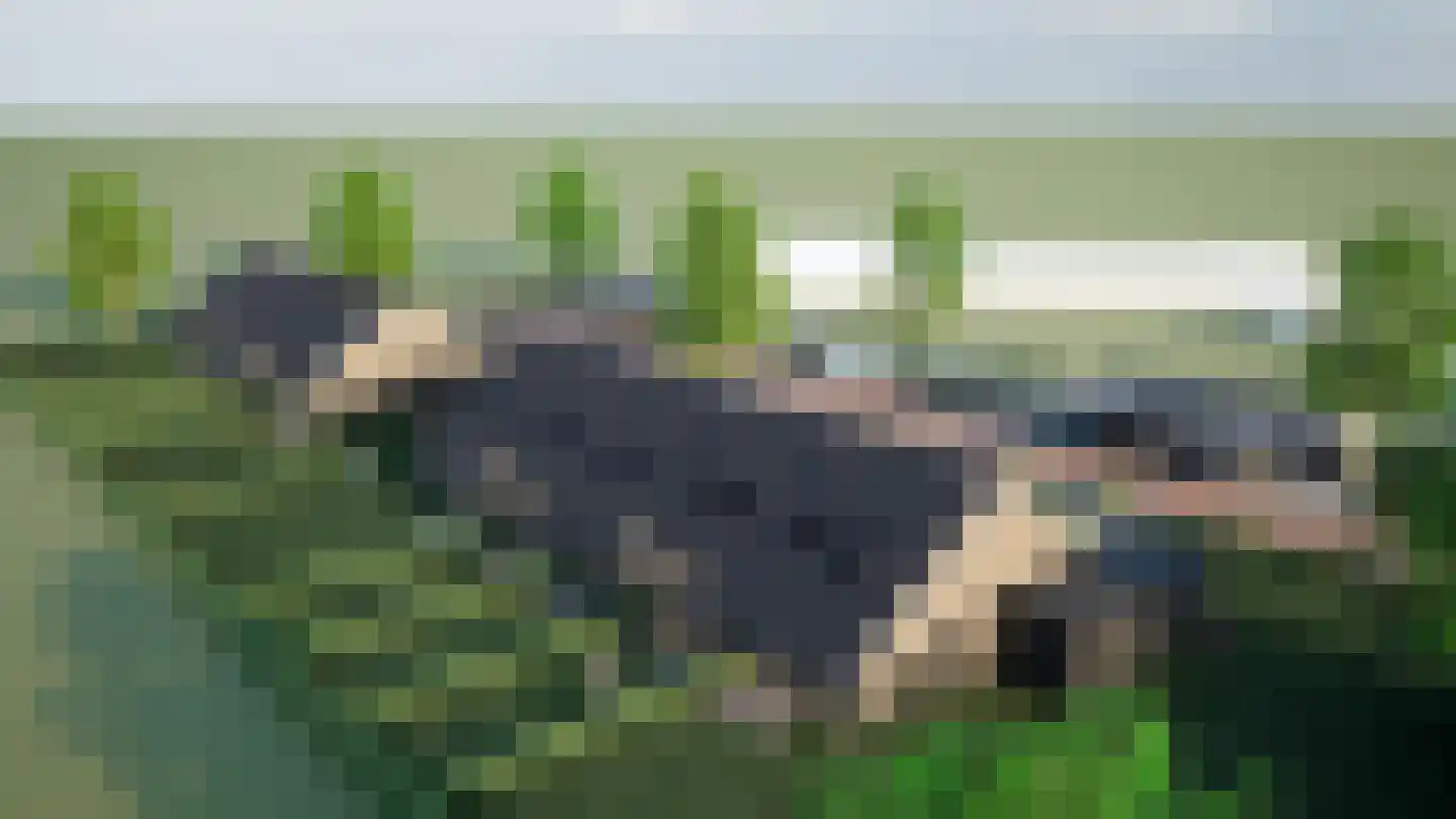 Linderweg 7 Linde thumbnail 6