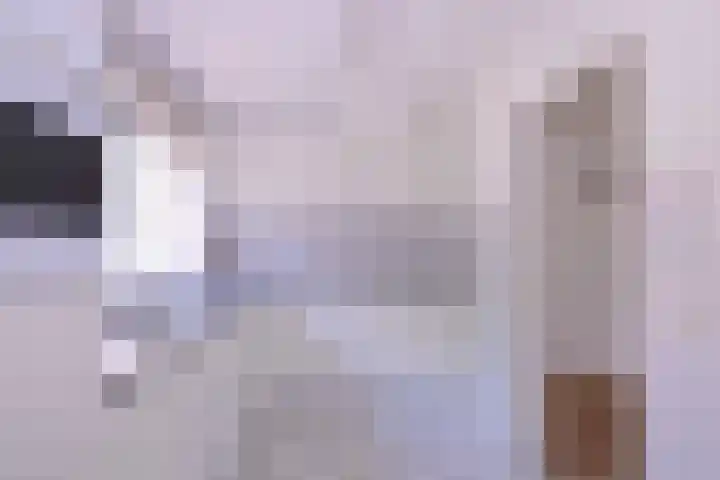 Lindeselaak 24 Wichmond thumbnail 10