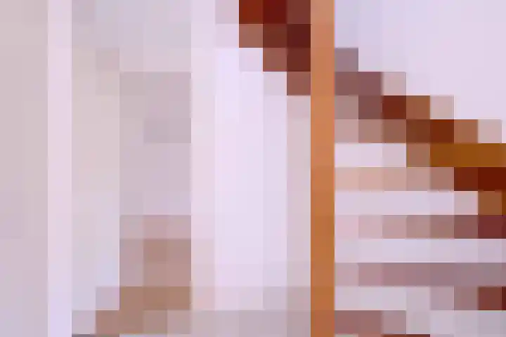 Lindeselaak 24 Wichmond thumbnail 13