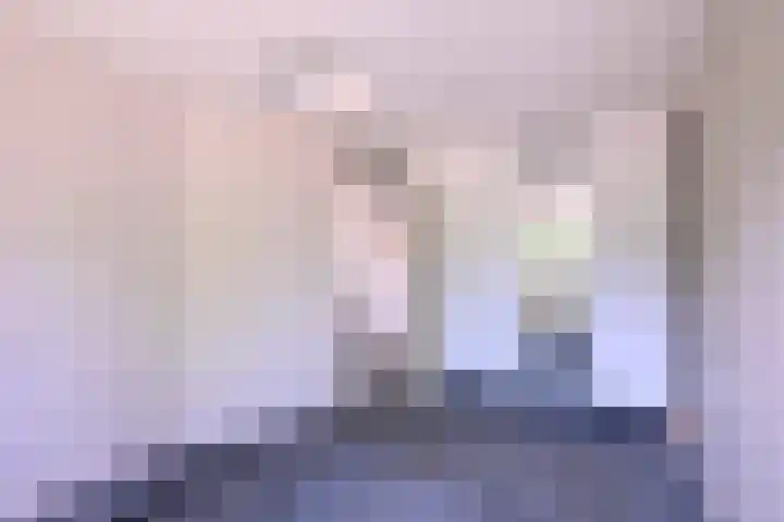 Lindeselaak 24 Wichmond thumbnail 16