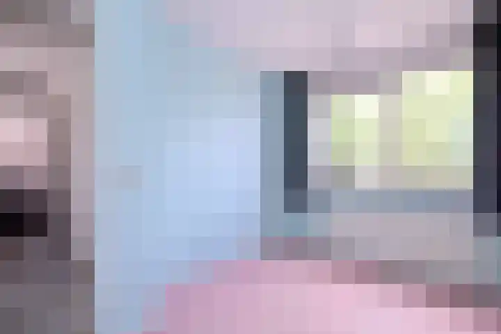 Lindeselaak 24 Wichmond thumbnail 18