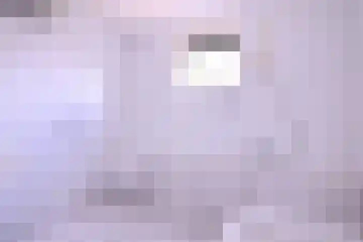 Lindeselaak 24 Wichmond thumbnail 20