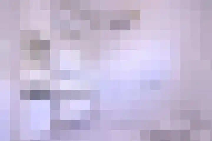 Lindeselaak 24 Wichmond thumbnail 21