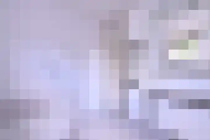 Lindeselaak 24 Wichmond thumbnail 22