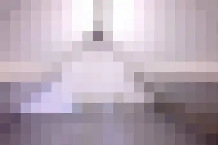 Lindeselaak 24 Wichmond thumbnail 24