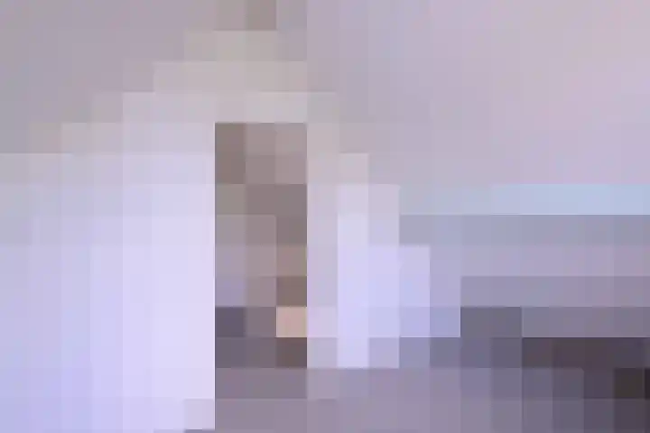 Lindeselaak 24 Wichmond thumbnail 28