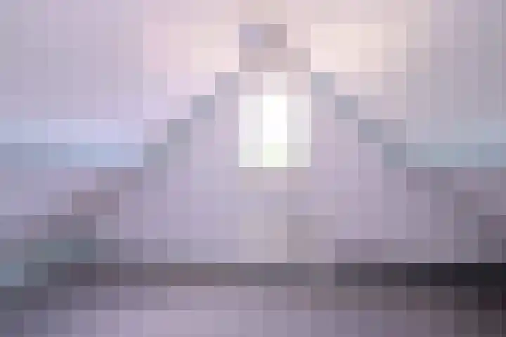 Lindeselaak 24 Wichmond thumbnail 29