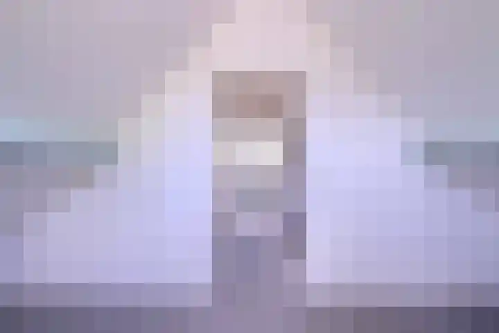 Lindeselaak 24 Wichmond thumbnail 30