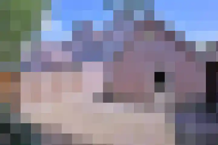 Lindeselaak 24 Wichmond thumbnail 35