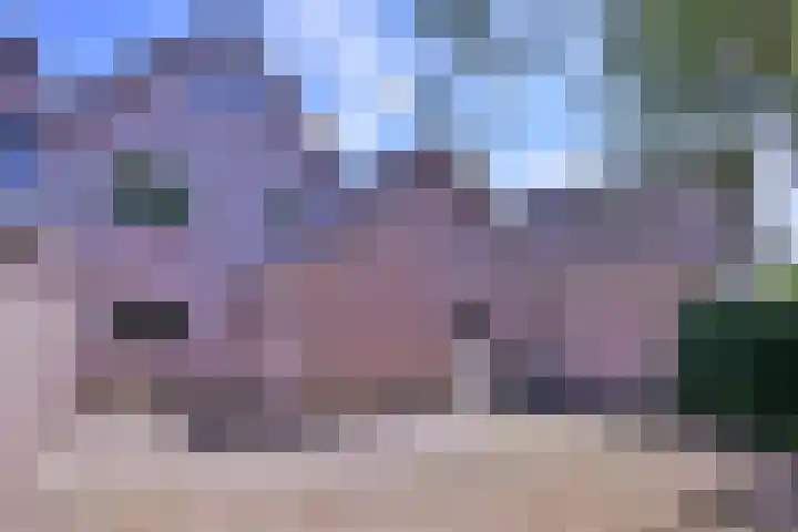 Lindeselaak 24 Wichmond thumbnail 36