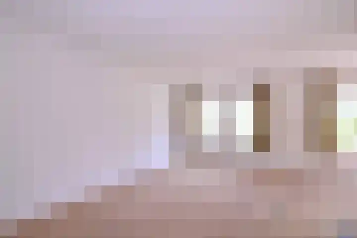 Lindeselaak 24 Wichmond thumbnail 4