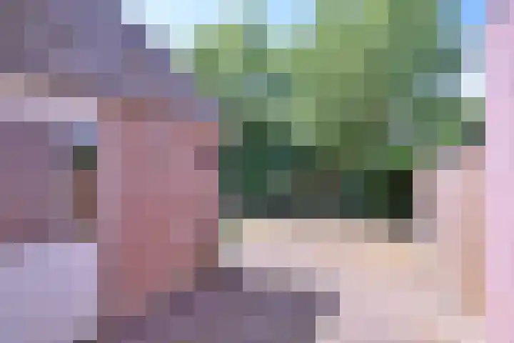 Lindeselaak 24 Wichmond thumbnail 40