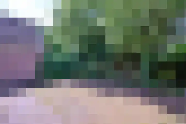 Lindeselaak 24 Wichmond thumbnail 41