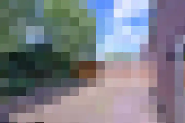 Lindeselaak 24 Wichmond thumbnail 42