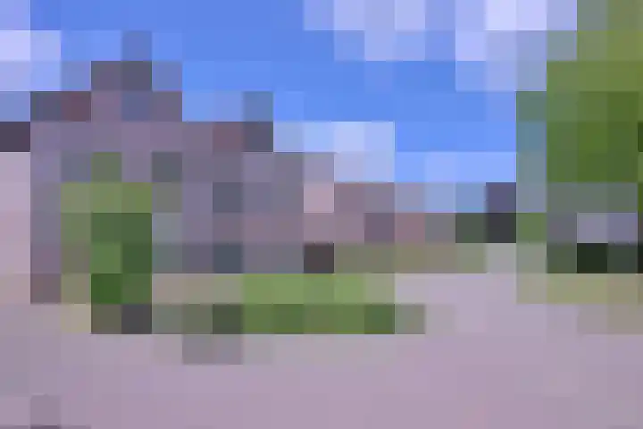 Lindeselaak 24 Wichmond thumbnail 43