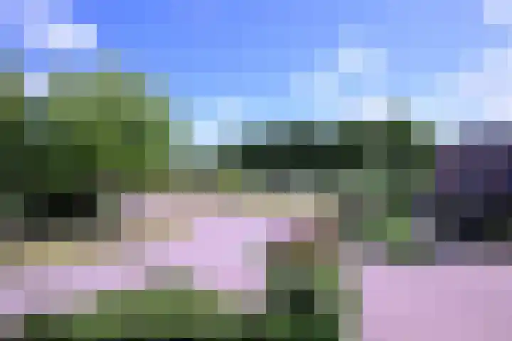 Lindeselaak 24 Wichmond thumbnail 44