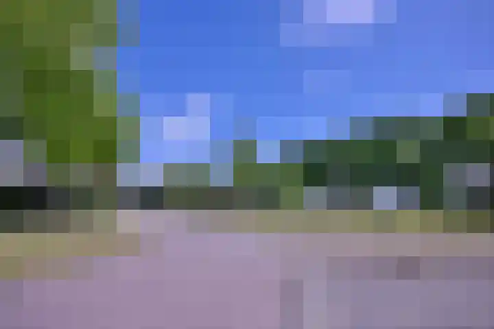 Lindeselaak 24 Wichmond thumbnail 45