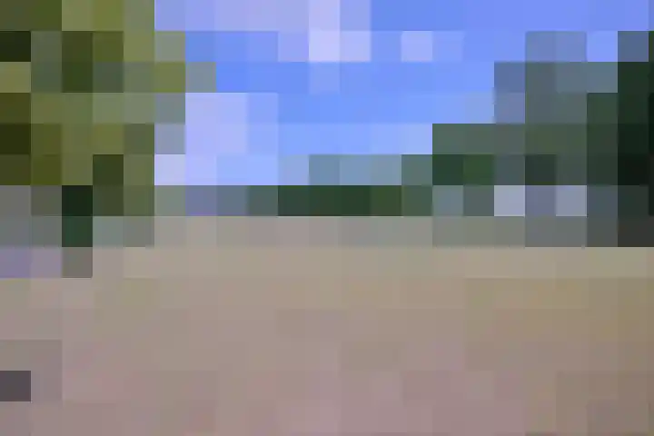 Lindeselaak 24 Wichmond thumbnail 46