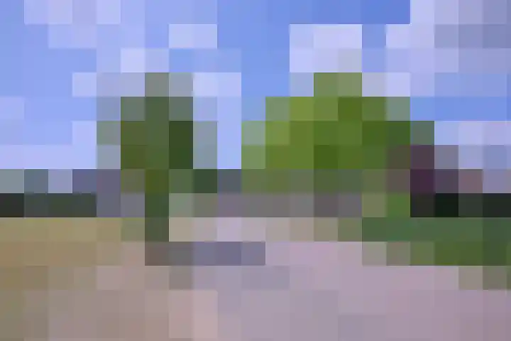 Lindeselaak 24 Wichmond thumbnail 47