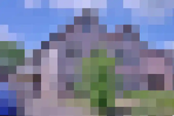 Lindeselaak 24 Wichmond thumbnail 51