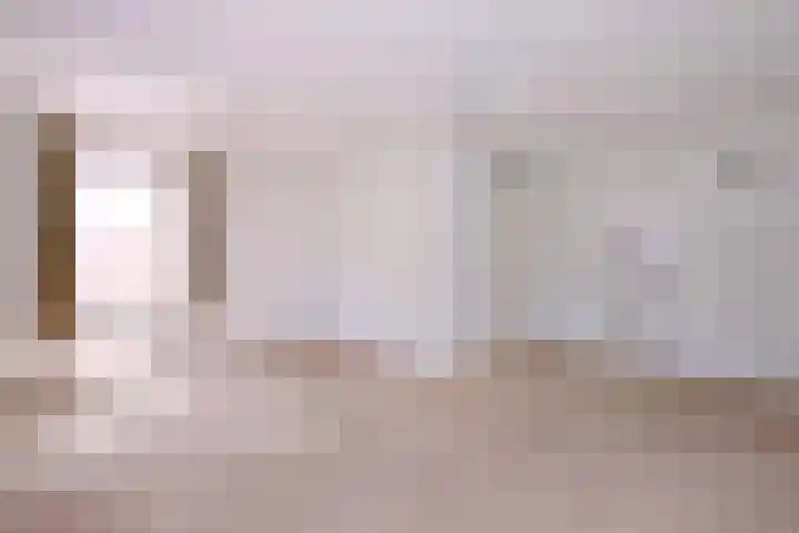 Lindeselaak 24 Wichmond thumbnail 6