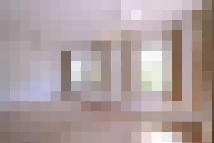Lindeselaak 24 Wichmond thumbnail 8