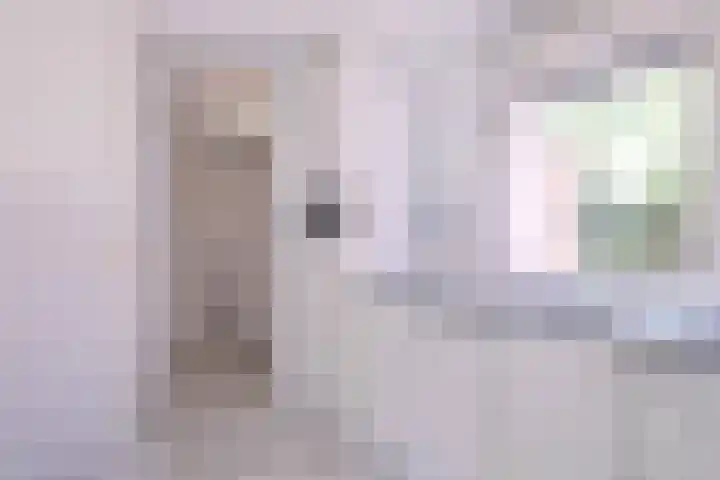 Lindeselaak 24 Wichmond thumbnail 9