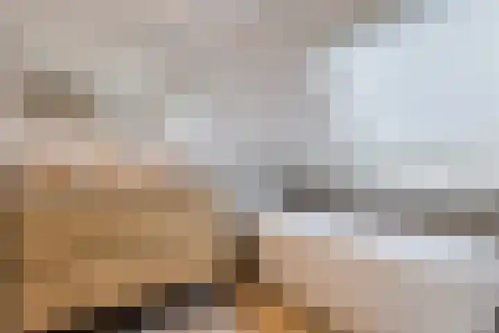 Lindeselaak 7 Wichmond thumbnail 22