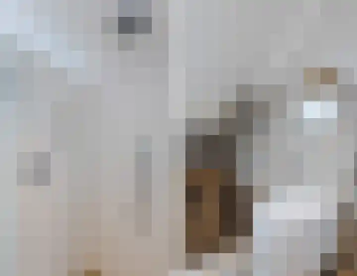 Lindeselaak 7 Wichmond thumbnail 24