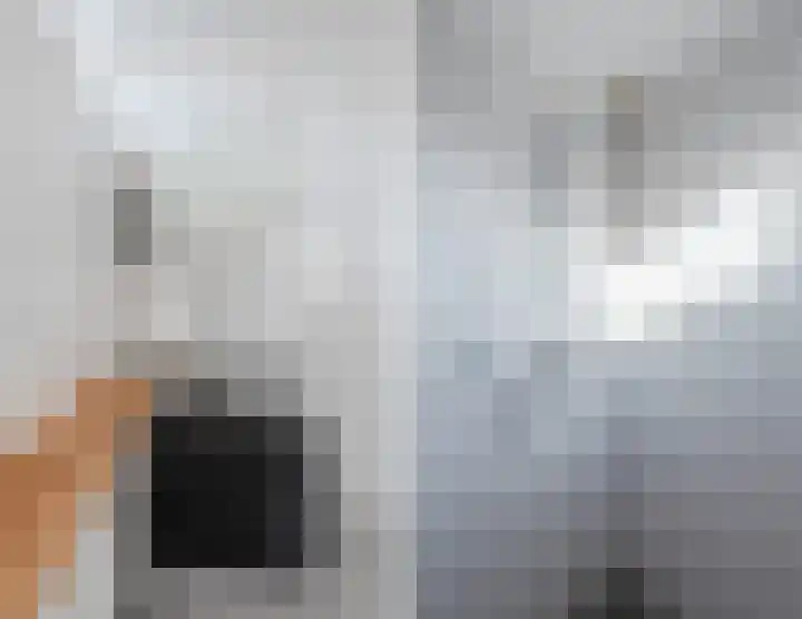 Lindeselaak 7 Wichmond thumbnail 32