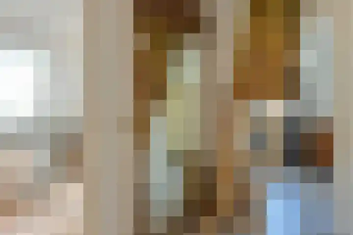 Lindeselaak 7 Wichmond thumbnail 35