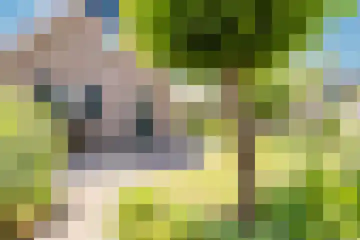 Lindeselaak 7 Wichmond thumbnail 39