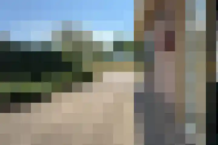 Lindeselaak 7 Wichmond thumbnail 4