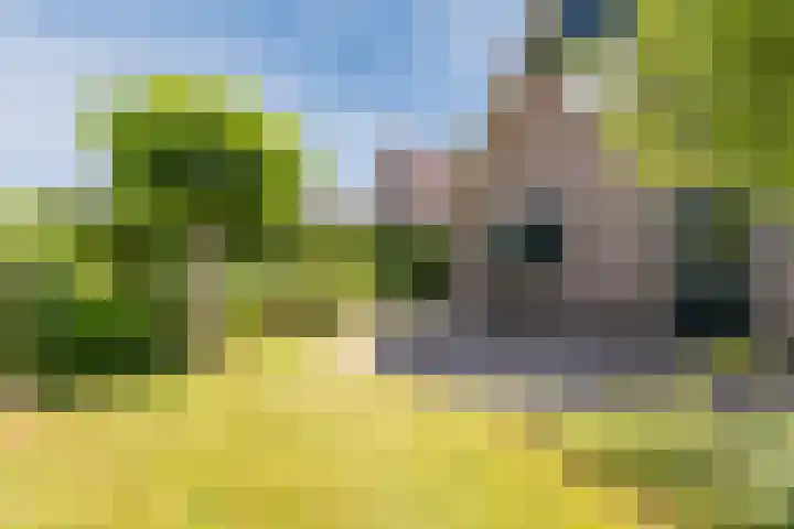 Lindeselaak 7 Wichmond thumbnail 41