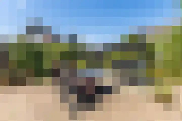 Lindeselaak 7 Wichmond thumbnail 42