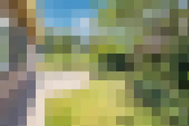 Lindeselaak 7 Wichmond thumbnail 44