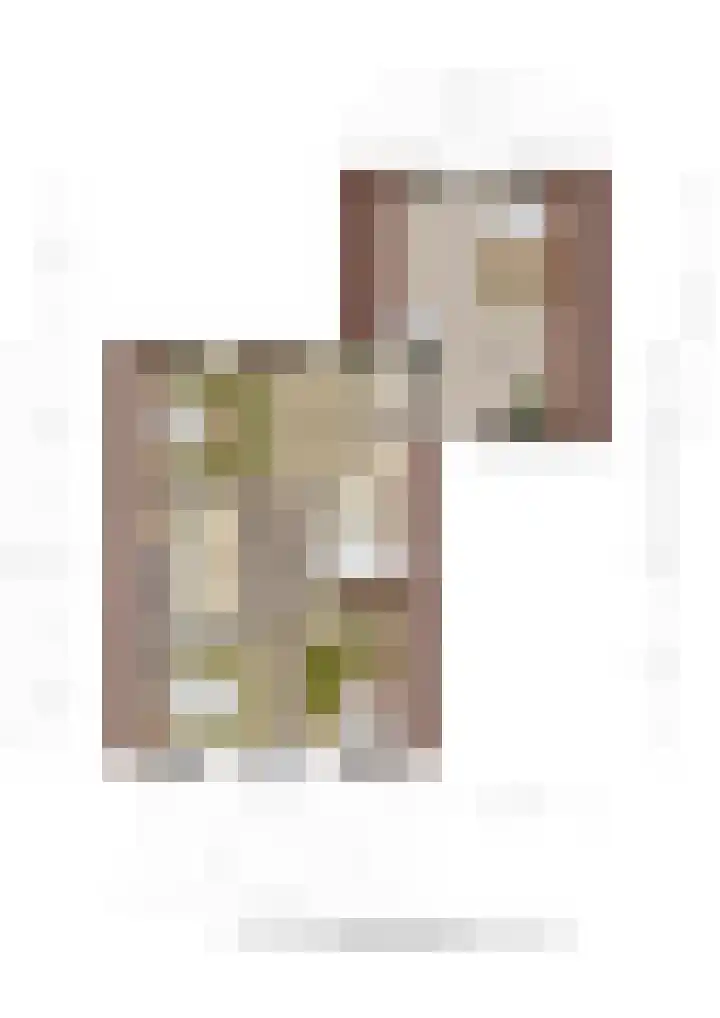 Lindeselaak 7 Wichmond thumbnail 51