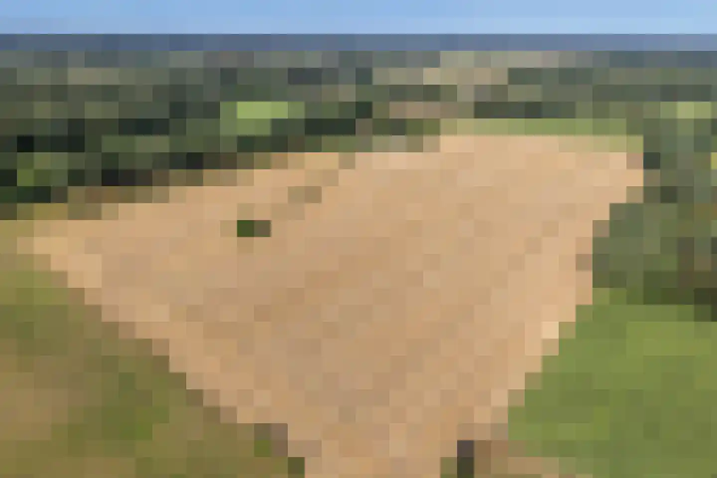 Lindeseweg 3 Vorden thumbnail 4