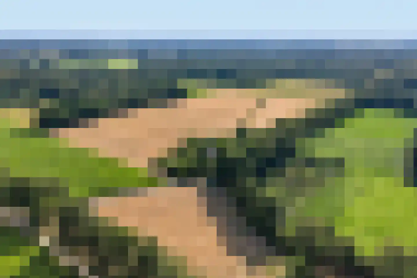Lindeseweg 3 Vorden thumbnail 5