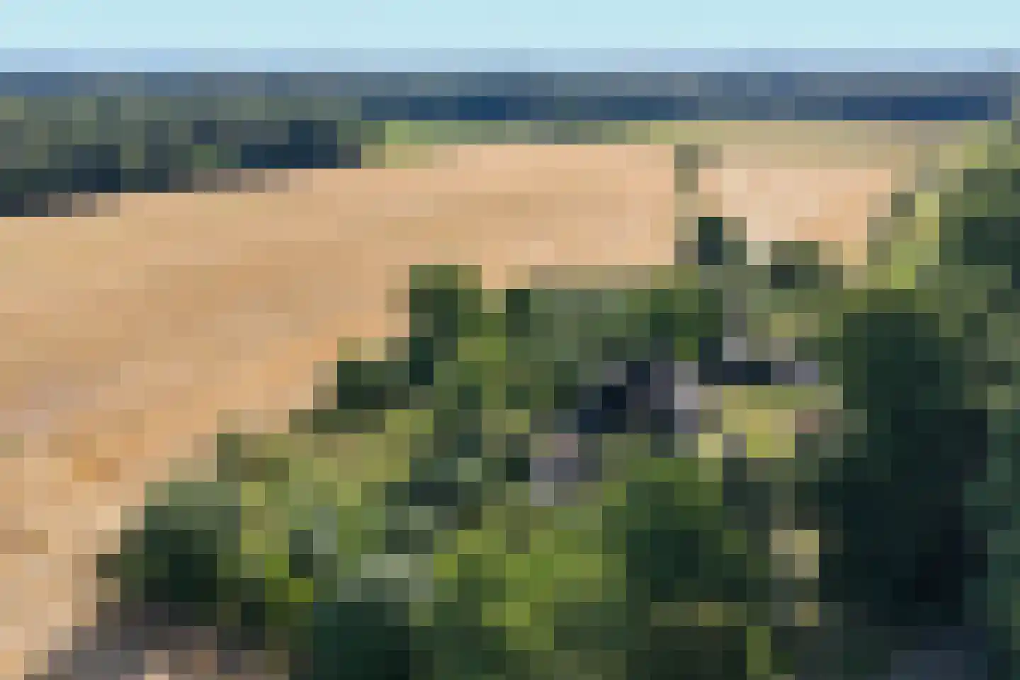 Lindeseweg 3 Vorden thumbnail 6