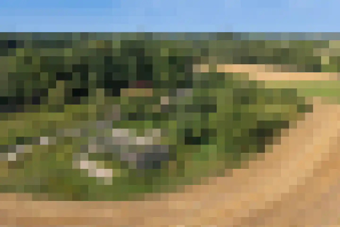 Lindeseweg 3 Vorden thumbnail 7