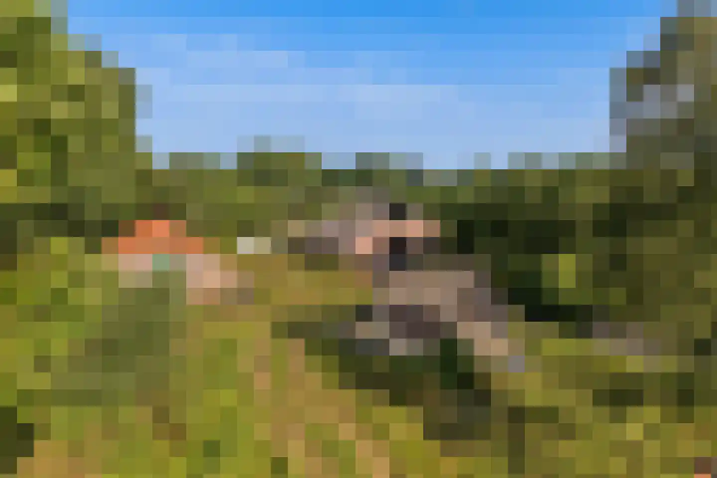 Lindeseweg 3 Vorden thumbnail 8