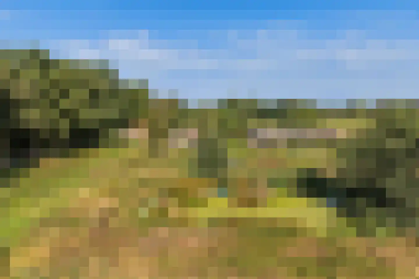 Lindeseweg 3 Vorden thumbnail 9