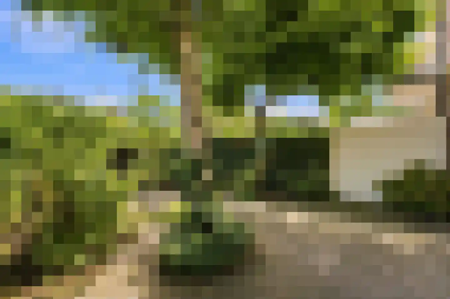 Lindesingel 12 Rotterdam thumbnail 27