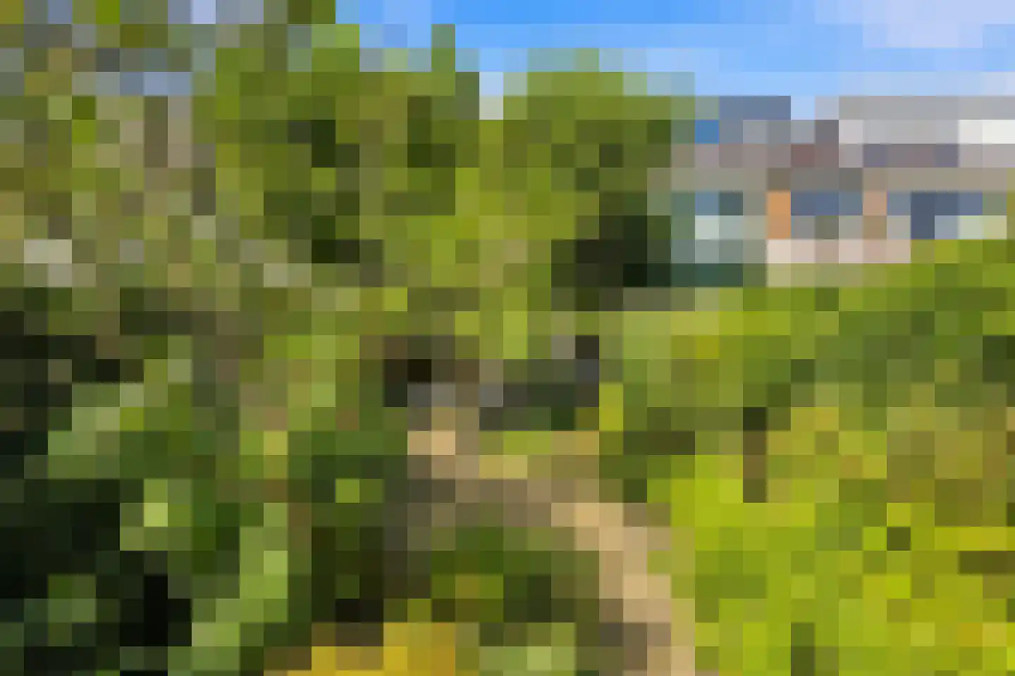 Lindesingel 12 Rotterdam thumbnail 30