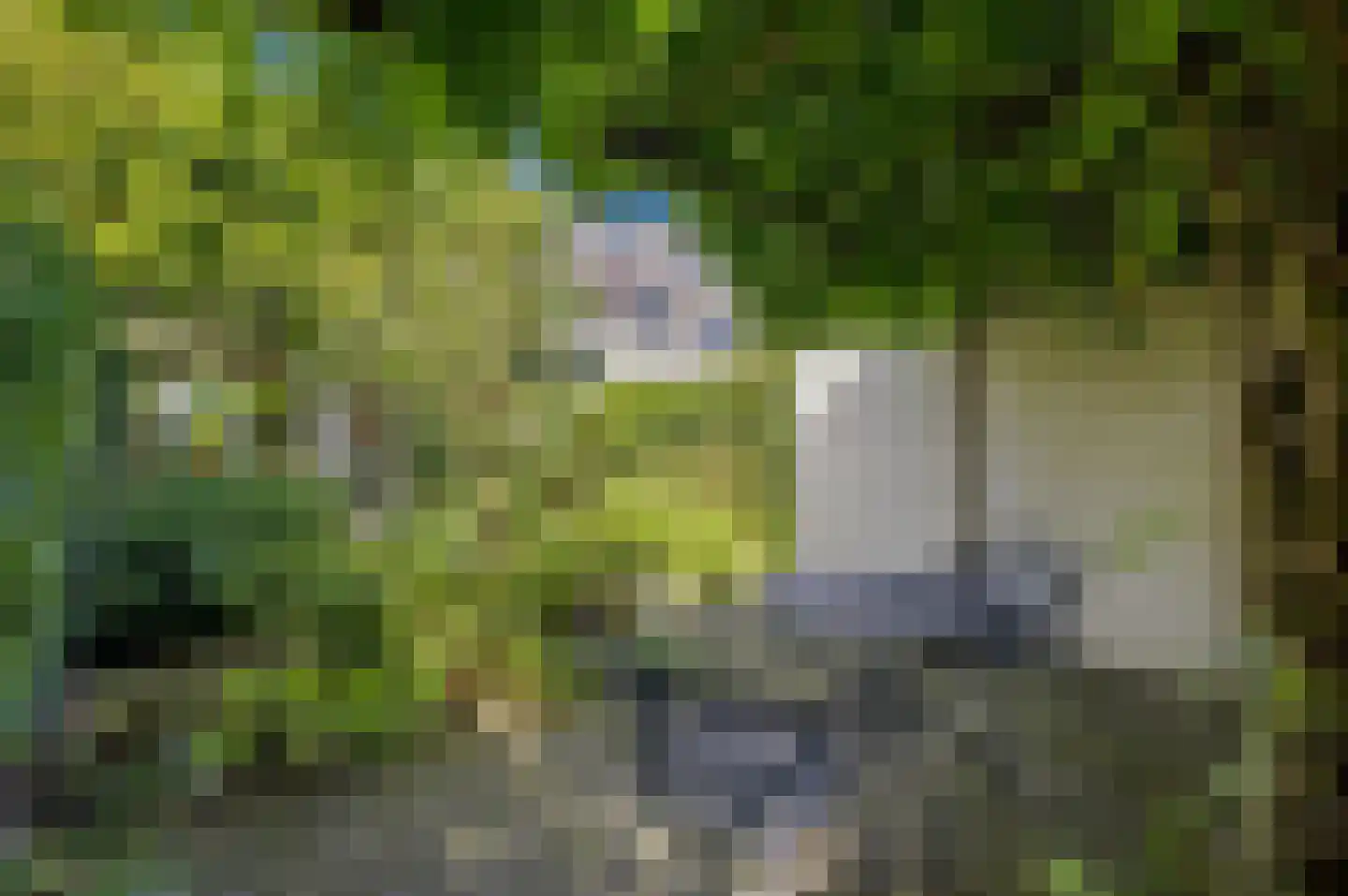 Lindesingel 12 Rotterdam thumbnail 31