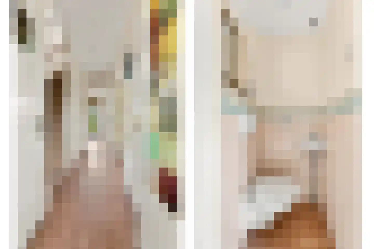 Lindesingel 12 Rotterdam thumbnail 37
