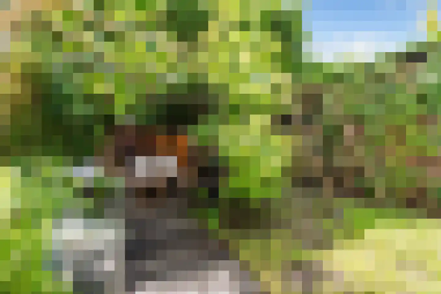 Lindesingel 120 Rotterdam thumbnail 22